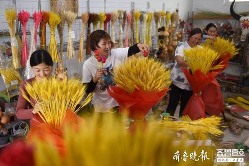 300多亩小麦还没成熟就收割 临沂郯城小麦要变身工艺品